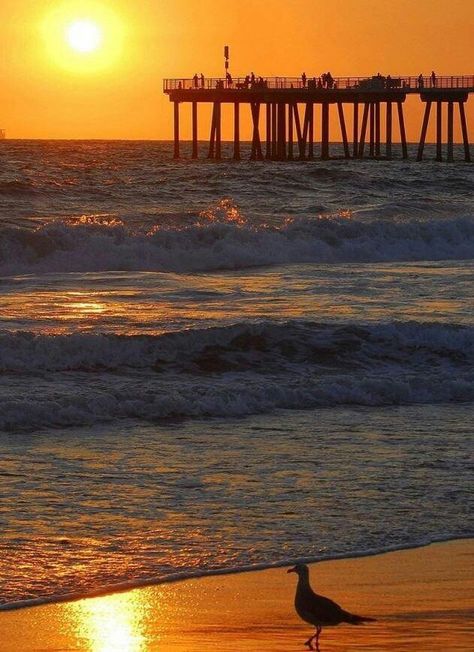 Nags Head, North Carolina. Nagshead North Carolina, Saluda North Carolina, Nags Head North Carolina, North Atlantic Ocean, Sunset Beach North Carolina, Surf City North Carolina, Obx Beach, Coastal North Carolina, North Carolina Coast