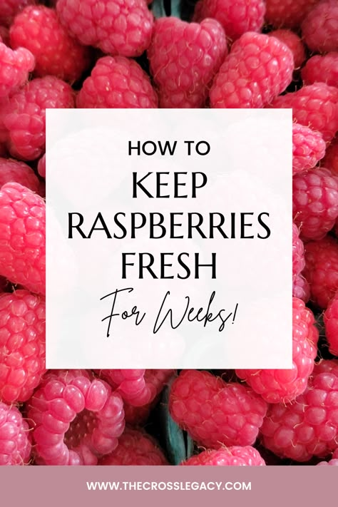 Best Way To Store Berries, How To Use Fresh Raspberries, Keeping Berries Fresh Longer, How To Keep Raspberries Fresh Longer, Cleaning Fresh Fruit, How To Preserve Raspberries, How To Freeze Raspberries, Best Way To Store Raspberries, Keep Berries Fresh Longer