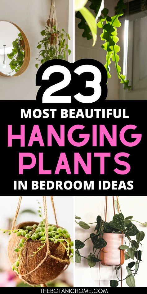 hanging plants in bedroom ideas. Best Plants For Hanging Baskets Indoor, Bathroom Hanging Plants, Aesthetic Bedroom Plants, Hanging Plants For Bedroom, Bedroom Plants Low Light, Plants In Bedroom Ideas, Plant Aesthetic Bedroom, Air Cleaning House Plants, House Plants Decor Indoor