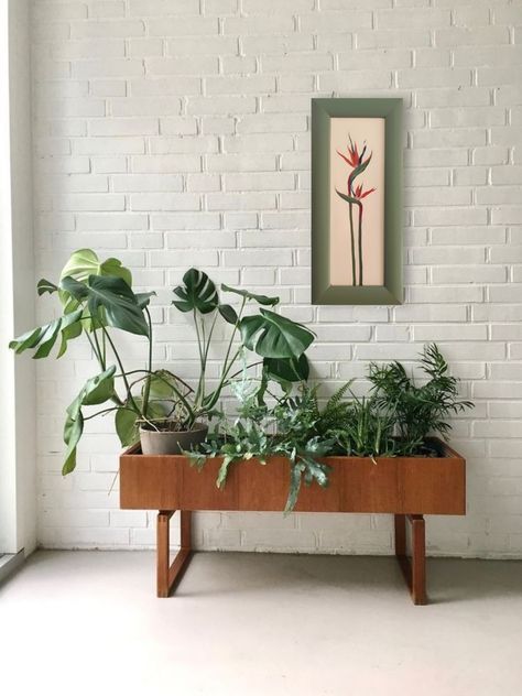 Kai Kristiansen, Domestic Goddess, House Plants Decor, Plant Mom, Apartment Inspiration, Plant Lady, Indoor Plant, Mid Century House, Plant Life