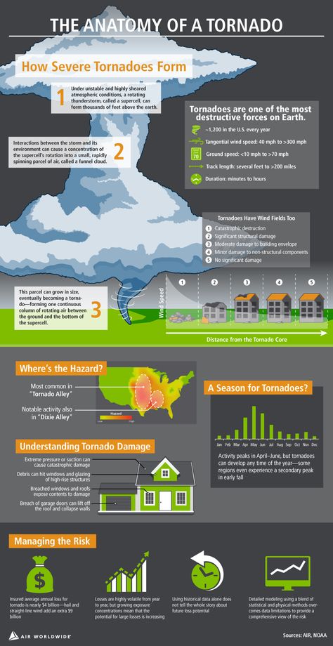 I thought some of this chart was really cool explaining the Anatomy of a Tornado. I can put this in a power point to show my students when I am teaching about severe weather in Texas. Meteorology Aesthetic, Tornado Safety Tips, Tornado Formation, Tornado Safety, Weather Science, Earth And Space Science, Weather And Climate, Meteorology, Science Facts