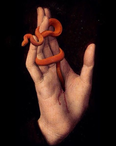 (Detail) Christ, Hans Memling (The snake is not part of the original work, it was added later by a…” Hans Memling, Oil Canvas, A Snake, Art Plastique, Magical Girl, Dark Art, Original Work, Classic Art, Aesthetic Art