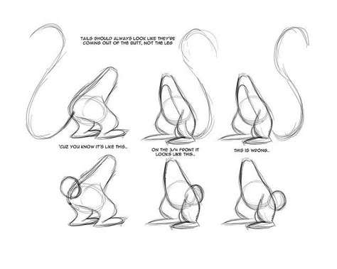 Disney Animals Drawings, Base Body Drawing, Basic Body Shapes, Character Design Base, Anthro Drawing, Cartoon Tutorial, Anatomy Tips, Animal Poses, Anatomy Practice