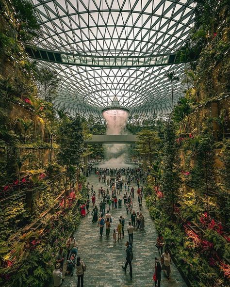 Architecture & Design on Instagram: “#Singapore has transformed itself from a hub of pollution to an environmental dream-city in the past 50 years. From afar, the country’s…” Changi Airport Singapore, Singapore Photos, Changi Airport, Indoor Waterfall, Dream City, Nature Themed, Urban Jungle, Most Beautiful Places, Indoor Garden