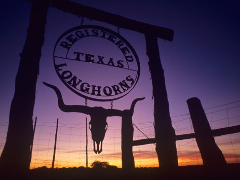 Texas Rangers Wallpaper, Texas Wallpaper, Ranch Aesthetic, Texas Steak, Wallpaper Travel, Texas Longhorns Football, Country Backgrounds, Longhorns Football, Texas Country