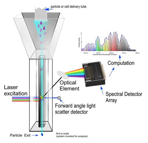 Flow Cytometry Rides Successive Waves of Innovation Flow Cytometry, Expert System, Content Analysis, Getting Started, Machine Learning, I Hope