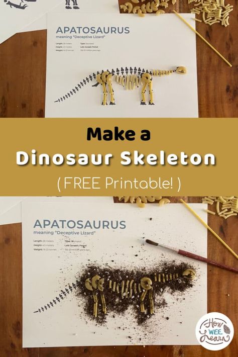 Make Your Own Dinosaur Skeleton | Free Homeschool Deals © Dinosaur Noodle Skeleton Craft, Dinosaur Research Project, Dinosaur Steam Activities, Dinosaur Skeleton Craft, Dinosaur Inquiry, Fossils Lesson, Museum Craft, Dinosaur Stomp, Dinosaurs Kindergarten