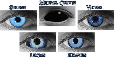 Underworld character contacts going to get lucian contacts to match my dress plus off my favorite movie Underworld Werewolf, Blue Vampire, Underworld Vampire, Black Contacts, Underworld Selene, Underworld Movies, Black Contact Lenses, Vampire Eyes, Vampire Contacts