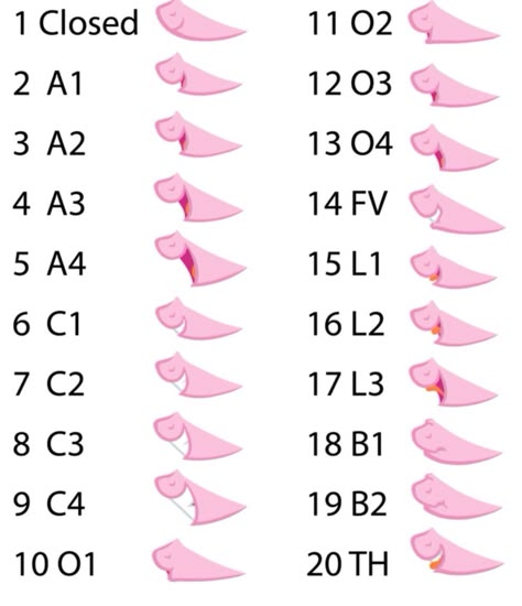 Mlp mouth shapes for talking animations Mlp Oc Template, Mlp Body Tutorial, Mlp Mouth Reference, Mlp Different Species, How To Make Mlp Oc, Mlp Mouth Base, Mlp Body Reference, How To Draw A Pony Mlp, Mlp Anatomy Reference