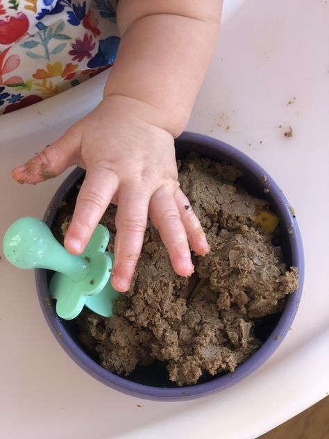 Beef Liver Pate Recipe, Beef Pate Recipe, Liver Pate Recipe Beef, Beef Liver Pate, Beef Pate, Baby Food Stage 1, Tiny Bellies, Home Made Baby Food, Liver Pate Recipe