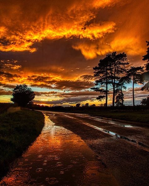 Sunset Realistic Photo, Rain Sunset, Rain Puddle, Artist Pictures, Sky Rain, Rainy Sky, Rain Pictures, Rainy Day Aesthetic, Road Photography