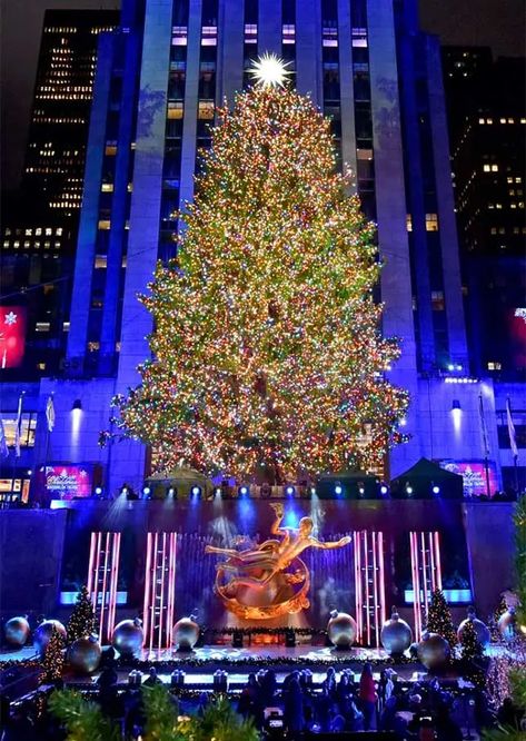 Buntglasfenster auf Top of the Rock New York Noel, Rockefeller Center Christmas Tree, Rockefeller Center Christmas, Eucalyptus Globulus, Eyes Wide Shut, I Love Nyc, Go To New York, Rockefeller Center, Days Until Christmas