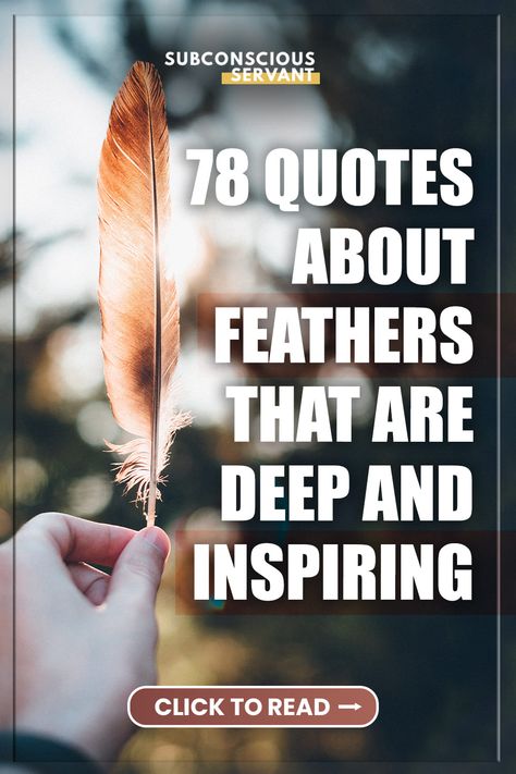 Finding Feathers Meaning, Feathers Quotes, Feather Quotes Short, Quotes About Feathers, Feather Quotes Inspiration, Bird Quotes Inspirational Short, Feather Pictures, Birds Of A Feather Quote, Feather Quote