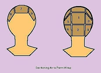 how to section for a 9 section perm Section Hair, Color Castaño, Natural Hair Transitioning, Black Hair Care, Roller Set, Natural Haircare, Natural Hair Inspiration, Natural Hair Tips, Hair Crush