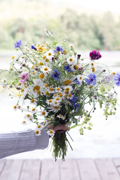 Flower Aesthetic White, White Flower Aesthetic, White Flowers Aesthetic, White Flower Arrangement, Wildflower Bridal Bouquets, White Flower Arrangements, בר מצווה, Wildflower Bouquet, Meadow Flowers