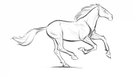 Aaron Blaise, Horse Animation, Arte Nerd, Horse Sketch, Running Horse, Animation Sketches, Horse Drawing, Horse Drawings, Desenho Tattoo