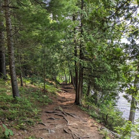 My trip to Silent Lake Provincial Park, Ontario. July 2024. #kawarthas #ontario #summer #lake #canada #canadian #travel #travelphotography #trail #provincialpark #blog #nofilter #wilderness #hiking French River Ontario, Canada Wilderness, Ontario Summer, Canadian Wilderness, Canadian Travel, Summer Lake, Lake Ontario, My Trip, I Have No Friends