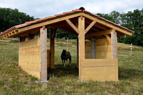 Mini Horse Barn, Pasture Shelter, Horse Shelters, Paddock Trail, Horse Shed, Horse Farm Ideas, Horse Paddock, Horse Barn Ideas Stables, Barn Stalls