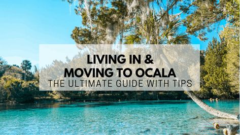 Ocala, FL | The (2021) Ultimate Living In & Moving to Guide Ocala Florida, Marion County, Florida City, Silver Springs, Lockheed Martin, Moving To Florida, Place To Live, Cost Of Living, Best Places To Live