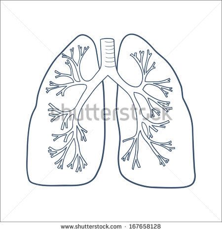 Health Care Design, Delta Gamma Crafts, Lungs Drawing, Anatomical Lungs, Lungs Art, Necklace Embroidery, Human Organ, Human Anatomy Drawing, Crazy Patchwork