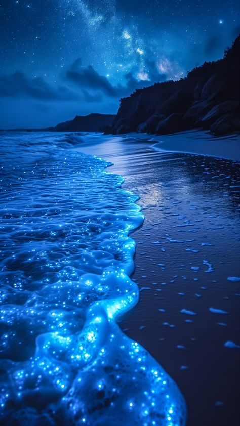 Bioluminescence Beach Wallpaper, Bioluminescence Beach Aesthetic, Light Blue Moodboard, Blue Aesthetic Sea, Bioluminescent Ocean, Blue Sea Aesthetic, Photo Ciel, Im Blue, Aurora Borealis Northern Lights