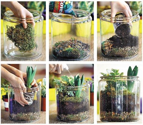 DIY cheap, easy ,fun way to make terrarium. Doing it your self will save you money then buying them permade! Mason Jar Projects, Deco Nature, Indoor Gardens, Garden Terrarium, Terrarium Diy, Terraria, Succulent Terrarium, Cactus Y Suculentas, Diy Plants