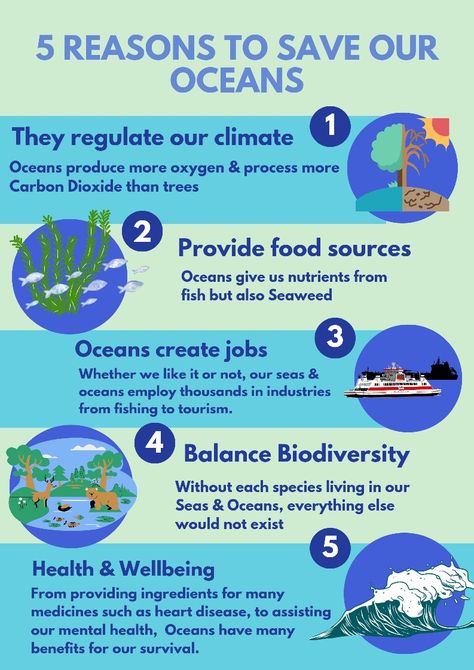 Why we need to care more..Visit Egeiro Naturals Store now, to do your bit for our planet! All products created using Renewable Energy 🐋🌎🌱 #biodiversity #Saveouroceans #savetheplanet #jigsawpuzzles Ocean Education, Ocean Ecosystem, Ocean Current, Save Our Oceans, Ocean Day, Animal Science, Environmental Conservation, Energy Conservation, Ocean Conservation