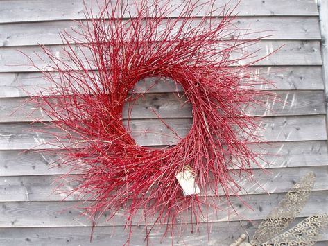 1000+ ideas about Red Twig Dogwood on Pinterest | Dogwood Shrub ... Dogwood Wreath, Twig Wreaths, Dogwood Bush, Dogwood Shrub, Red Dogwood, Red Twig Dogwood, Twig Crafts, Twig Dogwood, Dogwood Branches