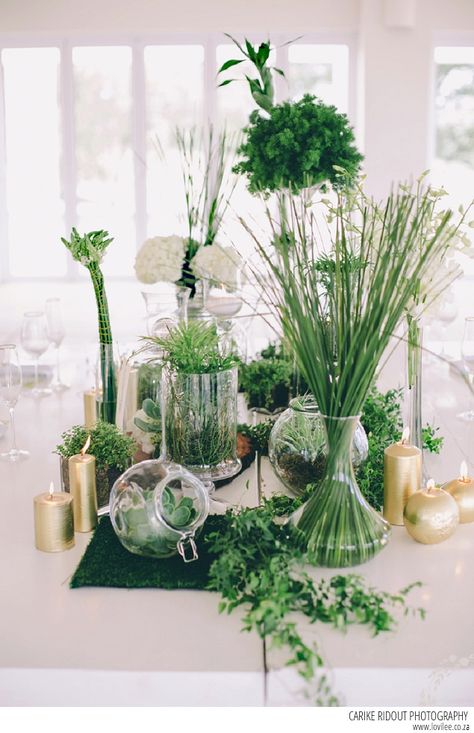 Botanical themed bridal shoot | Carike Ridout Photography | Flickr White Light Wedding, Botanical Wedding Table, Botanical Party, 40th Anniversary Ideas, Botanical Wedding Theme, Non Floral Centerpieces, Botanical Wedding Inspiration, Patriotic Wedding, Decoration Plants