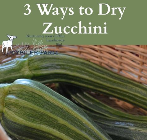 3 ways to dry zucchini Dried Zucchini, Zucchini Relish, Farm Diy, Chocolate Zucchini Cake, How To Thicken Sauce, Canned Food Storage, Zucchini Cake, Dried Vegetables, Winter Soups