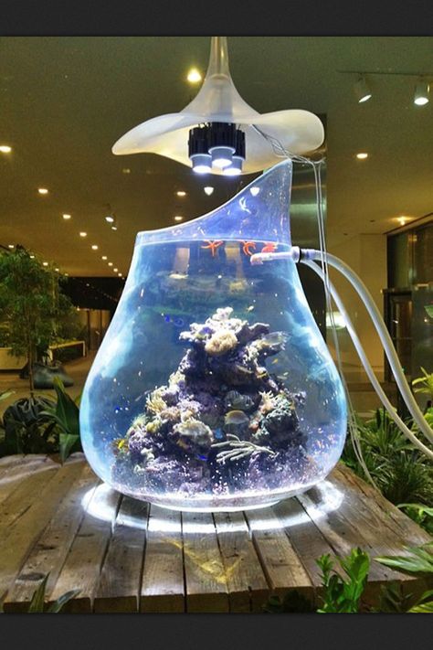 Futuristic Aquarium Unique Fish Tanks, Fish Tank Ideas, Ikan Air Tawar, Amazing Aquariums, Cool Fish Tanks, Saltwater Fish Tanks, Aquarium Terrarium, Nano Aquarium, Diy Aquarium