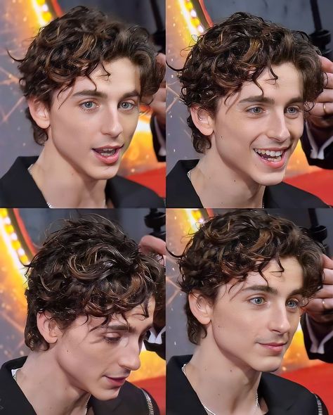 Timmy Chalamet, Blonde Hair Boy, Tim Tam, Timmy T, Short Curly Haircuts, Boys With Curly Hair, Corte De Cabelo Masculino, The Perfect Guy, Curly Hair Men