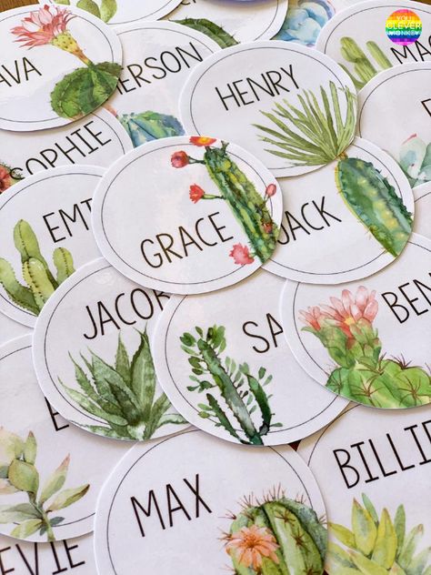 Rustic Bloom Classroom Theme, Calm Classroom Decor, Cactus Classroom Theme, Succulent Classroom, Plant Classroom, Cactus Classroom Decor, Plants Classroom, Cactus Classroom, Succulent Theme