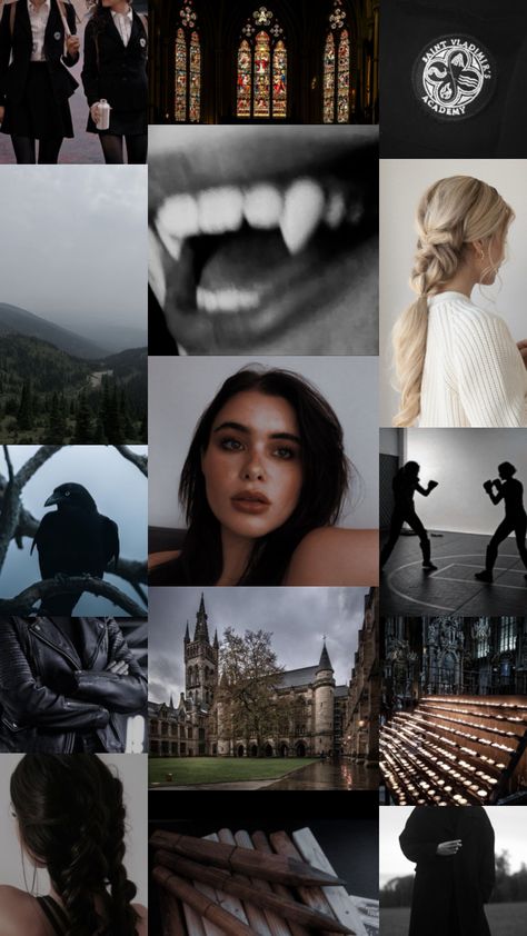 Vampire Academy book aesthetic Vampire Academy Aesthetic, Vampire Academy Books, Academy Aesthetic, Vampire Academy, Book Aesthetic, Books