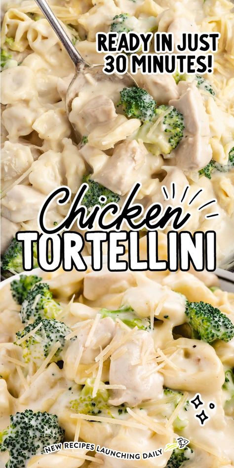 Our chicken tortellini is tossed in a rich and creamy sauce and mixed with fresh broccoli for an easy and delicious weeknight meal. Chicken And Shrimp Carbonara, Creamy Chicken Tortellini, Cheese Tortellini Recipes, Delicious Entrees, Tortellini Alfredo, Cheesy Pasta Recipes, Quick Delicious Dinner, Tortellini Bake, 2023 Recipes