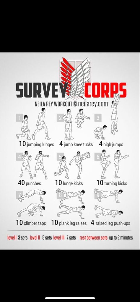 Survey Corps Workout, Neila Rey Workout, Jumping Lunges, Survey Corps, High Jump, Leg Raises, Push Up, Ups, Turn Ons