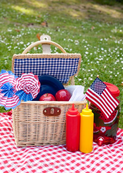 Self-portrait #7: patriotic picnic 4th Of July Picnic Photoshoot, 50s Decorations, American Picnic, Patriotic Utensil Basket, Patriotic Picnic, Military Party, Vintage Picnic Basket, Picnic Inspiration, Outdoor Eating