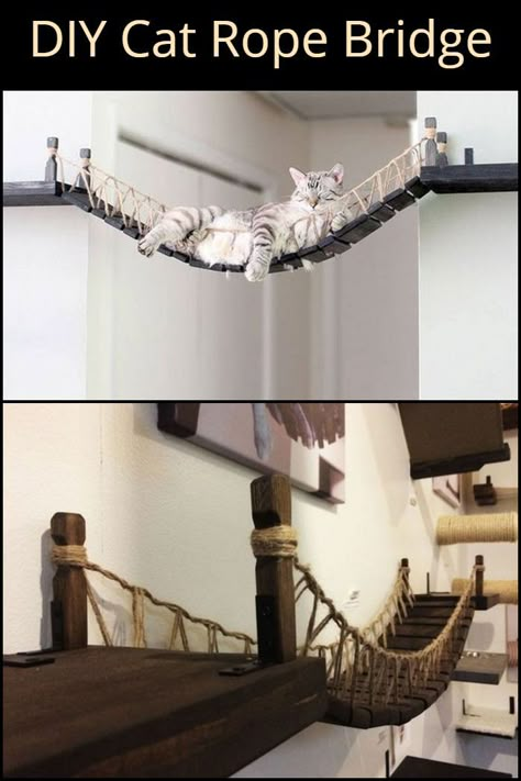 This DIY cat rope bridge is a really nice project for your beloved pet! Cat Rope Bridge, Katt Diy, Katt Grejer, Kat Diy, Chat Diy, Rope Bridge, Cat Patio, Cat Wall Shelves, Diy Cat Tree