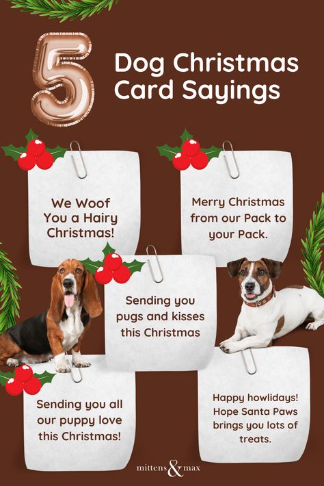 Dog Holiday Quotes, Dog Christmas Card Sayings, Pet Love Quotes, Dog Christmas Card Ideas, Funny Dog Christmas Cards, Christmas Card Photo Ideas With Dog, Christmas Pet Photos, Christmas Card Dog, Dog Christmas Cards