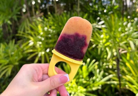 Blueberry Peach Popsicles - Wish Farms Blueberry Popsicles, Peach Popsicles, Summer Flavors, Peach Blueberry, Sweet Summer, Summer Heat, Popsicles, Soups, Healthy Food