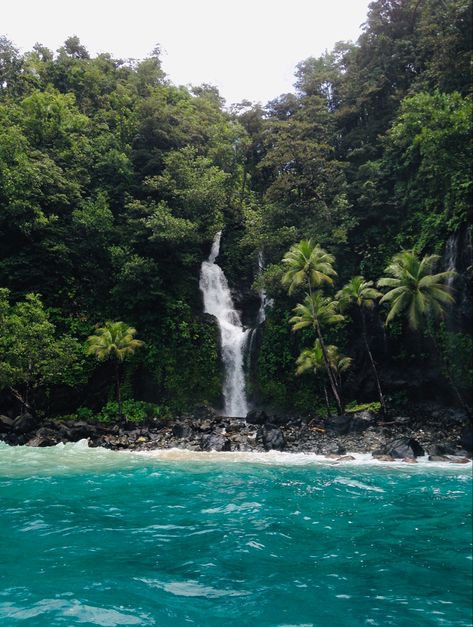 Took this image in Fiji on a island called Taveuni #nofilter ! Taveuni Island Fiji, Figi Island, Fiji Waterfall, Fiji Islands Aesthetic, Fiji House, Fiji Aesthetic, Taveuni Fiji, Figi Islands, Suva Fiji