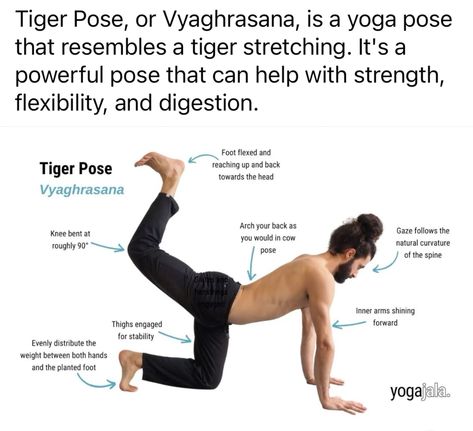 Yoga Poses, Yoga