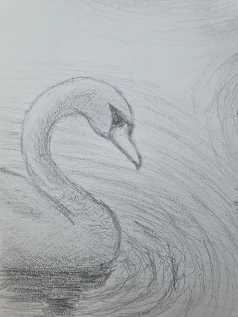 Swan Drawing Sketches Easy, White Swan Drawing, Swan Sketch Pencil, Swan Drawings, Swan Sketch, Pencil Sketch Tutorial, Swan Drawing, Shading Drawing, Tears Art