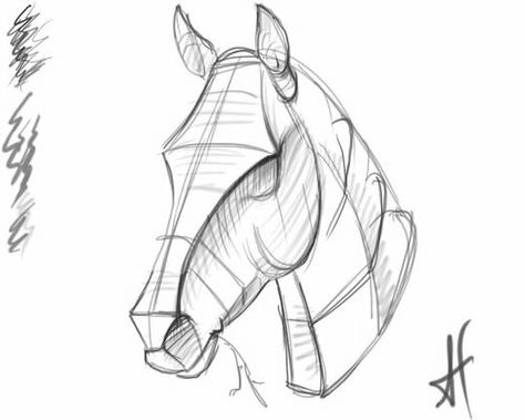 Horse Drawing Tutorial, Horse Art Drawing, Horse Sketch, Horse Anatomy, Horse Drawing, Horse Drawings, Horse Sculpture, Anatomy Drawing, Animal Sketches