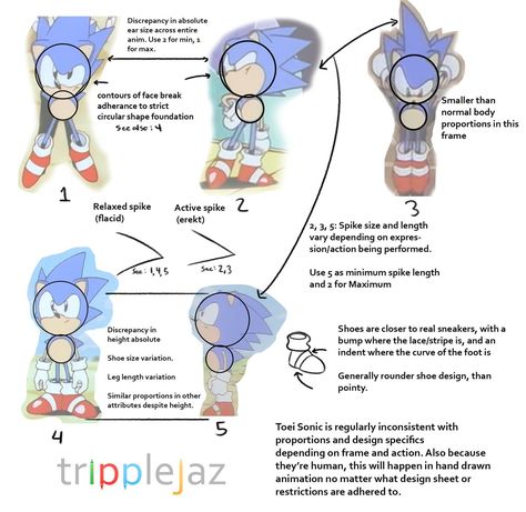 Toei Sonic reference sheet Classic Sonic Reference, Sonic Anotamy, Classic Sonic Sketch, Sonic Eyes Reference, Sonic Character Sheet, Sonic Reference Sheet, Sonic Hands Reference, Sonic Poses Reference, Sonic Art Style