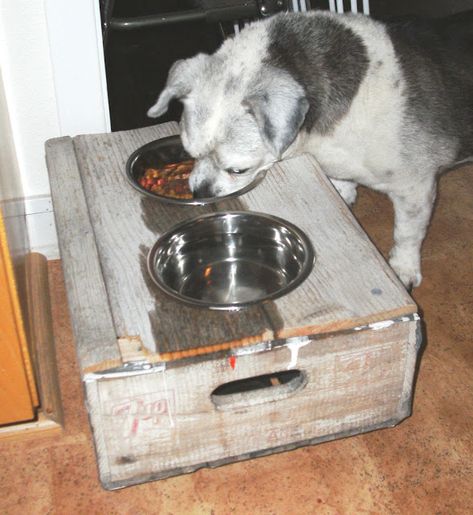 DIY Up-cycled 7-Up Crate to Dog Dish Holder - Little Vintage Cottage Making Dog Crates Cute, Ikea Hol Dog Crate, How To Make A Metal Dog Crate Cute, Old Fence Boards, Dish Holder, 7 Up, Old Fences, Xmas Diy, Vintage Cottage