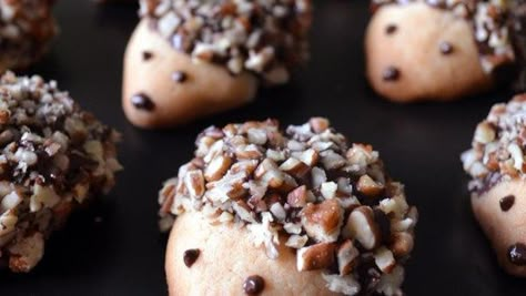 Hedgehog cookies are decorated with melted chocolate and chopped pecans for the 'fur' for a fun treat the kids will love helping create. Hedgehog Cookies, Cookies Pumpkin, Earthquake Cake, Full Recipes, Spritz Cookies, Eat Cookies, Melting Chocolate Chips, Chocolate Pecan, Pumpkin Cake