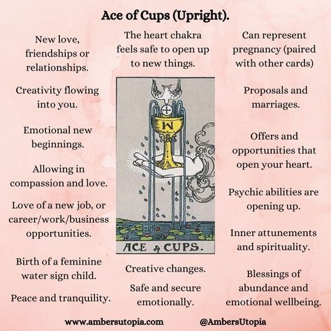 A description and list of what the Ace of Cups means within the Tarot deck, from the suit of cups.

#tarot #aceofcups #suitofcups Ace Cups Tarot Meaning, Cups In Tarot Meaning, Suit Of Cups Tarot Meaning, Tarot Cards Ace Of Cups, 2 Of Cups Tarot Meaning, 6 Of Swords Reversed, 8 Of Cups Tarot Meaning, 6 Of Cups Tarot Meaning, Ten Of Cups Tarot Meaning