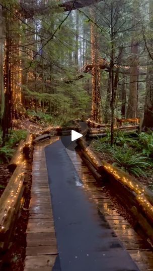 33K views · 49K reactions | Magical Rainy Forest in Vancouver Canada | Sebastian | Outdoor Adventures Magical Forest Wedding, Forest Wedding Ceremony, Forest Wedding Venue, Dark Wedding Theme, Fairytale Forest, Video Nature, Vision Board Pictures, Magical Forest, Vancouver Canada