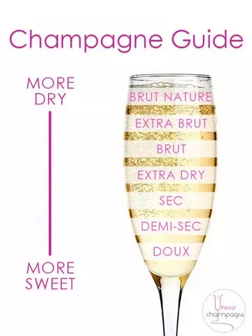 Champagne Tasting, Champagne Drinks, Champagne Taste, Wine Guide, Wine Food Pairing, Cocktail Drinks Recipes, Pretty Drinks, Wine Cocktails, Alcohol Drink Recipes